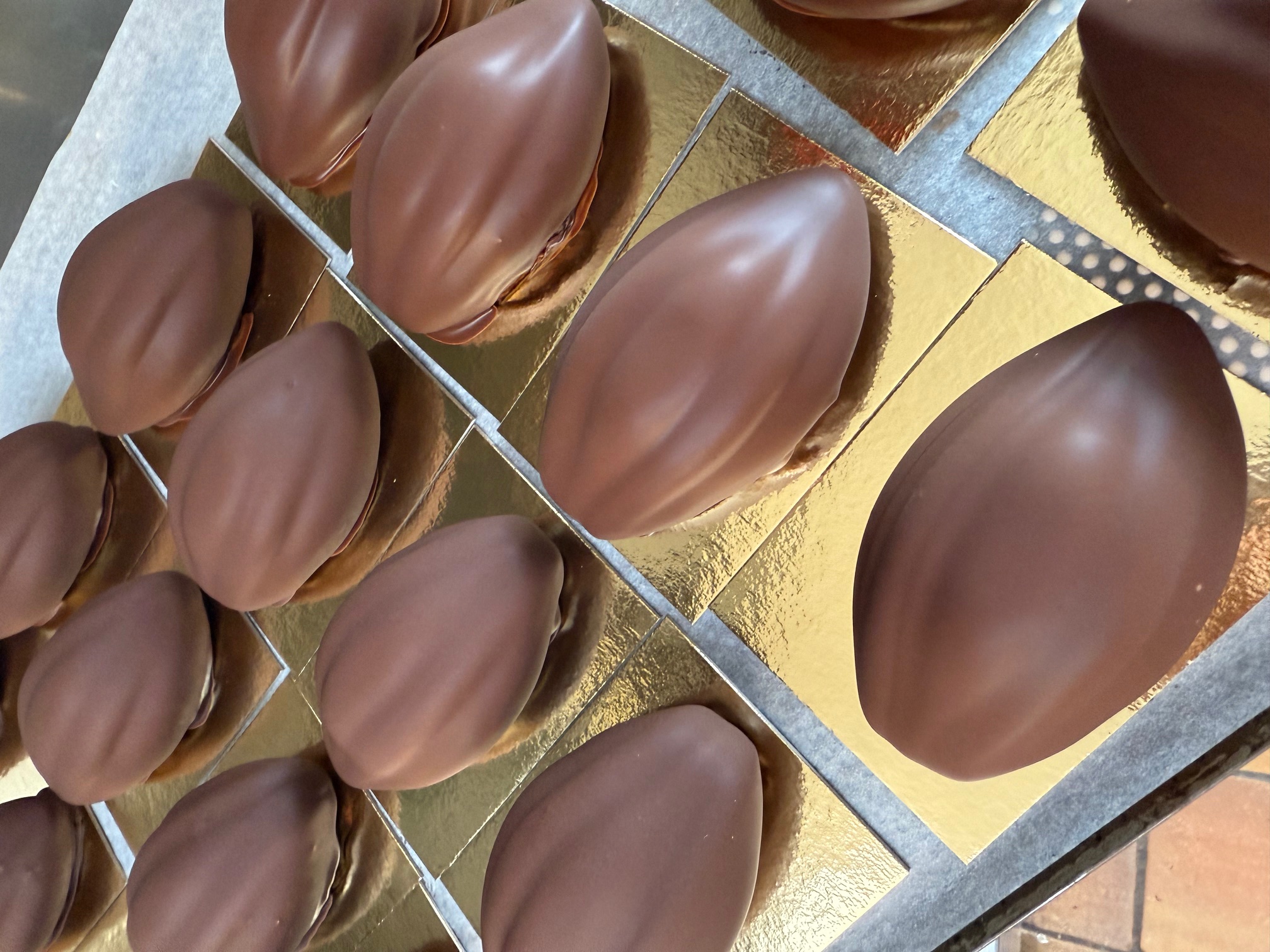 Cabosse de cacao
